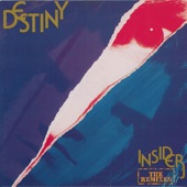 Destiny (Wild Mix) artwork