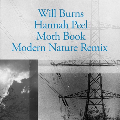 Moth Book (Modern Nature Remix) - Single
