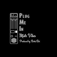 Plug Me In - Single - Mistr Vibes