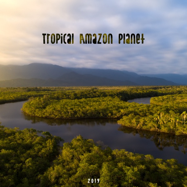 Tropical Amazon Planet 2019: Amazing Exotic Sounds