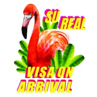 Visa on Arrival - Su Real