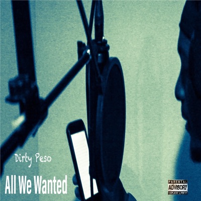All We Wanted - Single