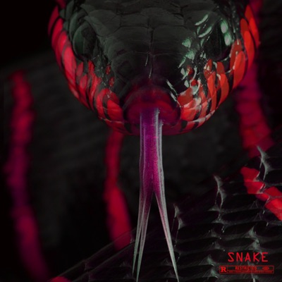 Snake (feat. PR$ Lamar) - Single