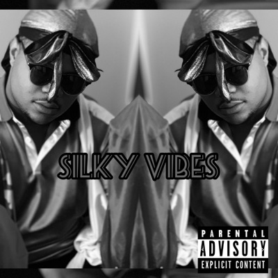 Silky Vibes - Single