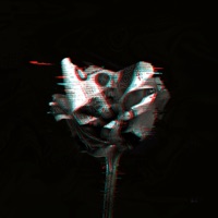 Kwit Lotosu - Lagi & BaQu