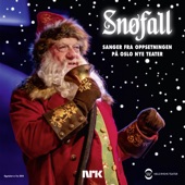 Snøfall - Sanger fra oppsetningen på Oslo Nye Teater artwork