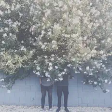 Escucha a coriander., mira videos musicales, lee su biografía, consulta las fechas de las gira y más.