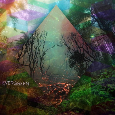 Evergreen - Single