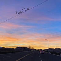 Feelin' Low - Single - Freido