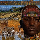 Moyoni (feat. Hilight Tribe) artwork