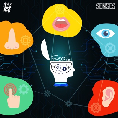 Senses - Single