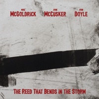 The Reed That Bends in the Storm by Mike McGoldrick, John McCusker & John Doyle on Apple Music