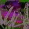 Maze (feat. Clwdwlkr) - Stubbs lyrics