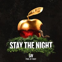 Stay the Night - Single - SIV