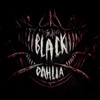 Black Dahlia - Single - n0trixx & REZAFACE