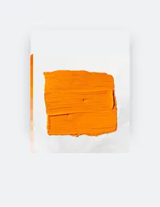 聆聽 Defcee and Knowsthetime、觀看音樂影片、閱讀小傳、查看巡演日期等！