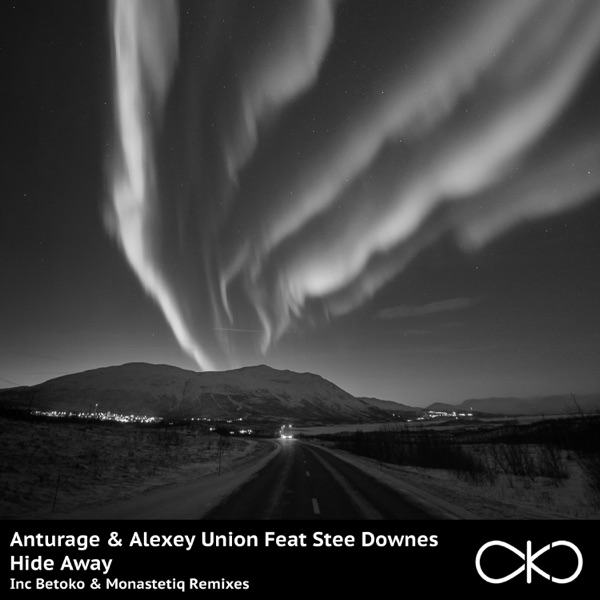 Hide Away (feat. Stee Downes) - Single