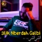 Galbi 3lik Nberdah  Nti Nti Nti (Sofiane Asla) artwork