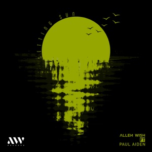 Setting Sun (feat. Paul Aiden) - Single