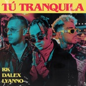 Tú Tranquila artwork