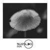 Stephan Zovsky - Rebirth