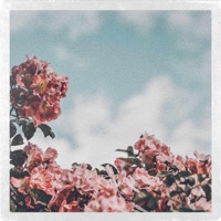 Remember - Single - Homage