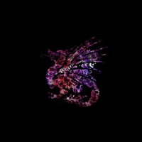 Dragon - Single - j.f.e TarXan