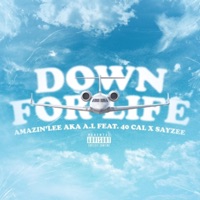 Down for Life (feat. 40 Cal. & Sayzee) - Single - Amazin'lee Aka A.L.