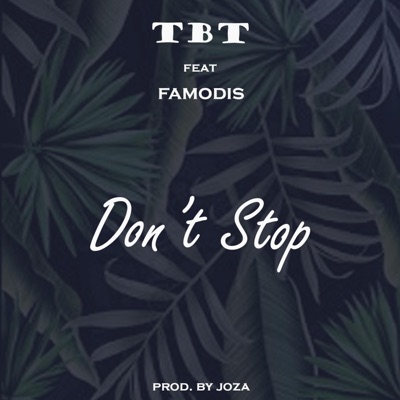 Don't Stop (feat. Famodis) - Single