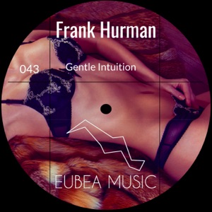Gentle Intuition - EP