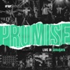 Promise (Live in Surabaya) - Single