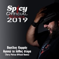 Agapo Ta Lathos Atoma (Terry Petras Official Remix) - Single - Vasilis Karras