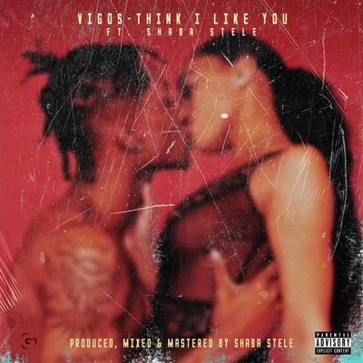 Think I Like You (feat. Shaba Stele) - Single