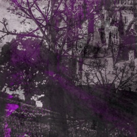 Shame Cube Lord Distortion