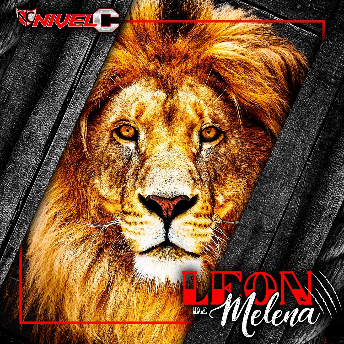 León de Melena - Single