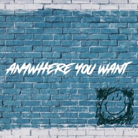 Anywhere You Want - Single - Twenny3