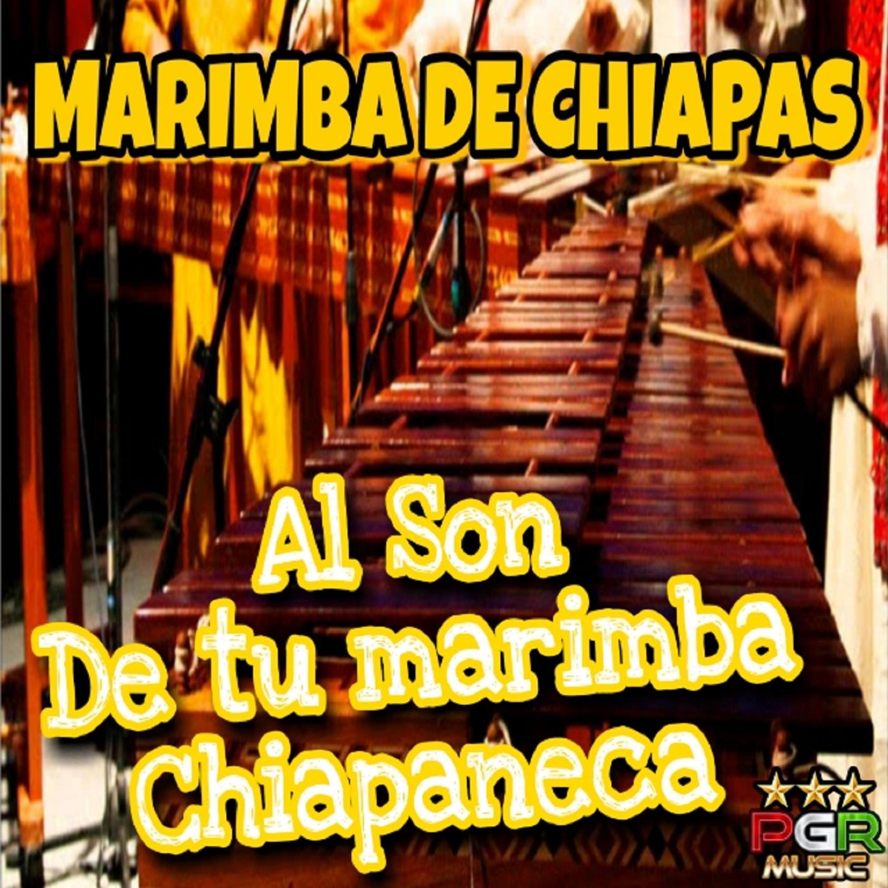 Al Son de Tu Marimba Chapaneca