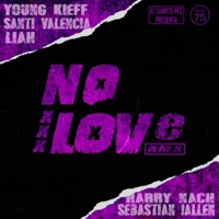 No Love Remix (feat. Sebastián Jallen, Liah Veliz, Young Kieff & Harry Nach) [Remix] - Single - Santi Valencia