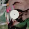 Pound of Gas (feat. Wiardon) - Cambank$ lyrics