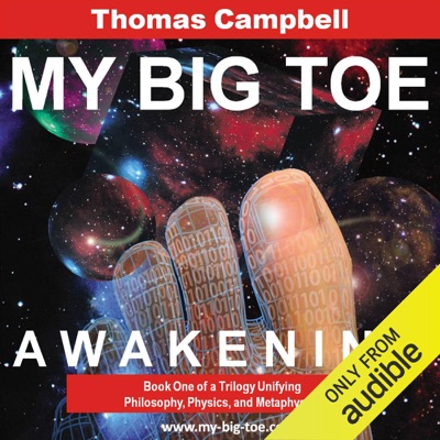 My Big TOE: Awakening: Book One of a Trilogy Unifying Philosophy, Physics, and Metaphysics (Unabridged)