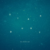 STAR DUST artwork