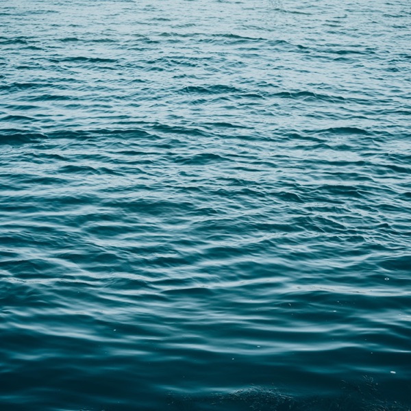 Black Water