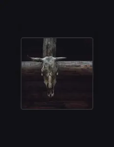 Ouve MadeBy2001, vê vídeos de música, lê a biografia, vê as datas da digressão e muito mais!