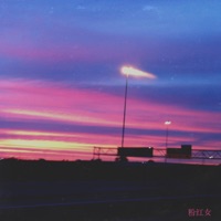 Pink Lady - Angry Apple