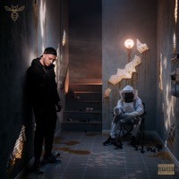 Ma ruche - Hornet La Frappe