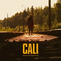 Раненая модница - Single - Cali