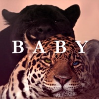 Baby - Single - Dora Viva, Amanda Sarmento & Flow Nzinga