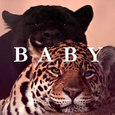 Baby - Single