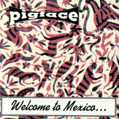 Welcome to Mexico...A*****e