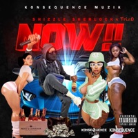 Now - Single - Shizzle Sherlock & TrizO